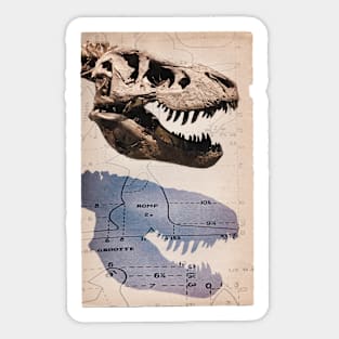 T-Rex Skeleton Fossil Sticker